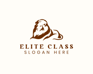 First Class - Luxury Lion Mane logo design