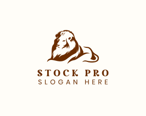 Stock - Luxury Lion Mane logo design
