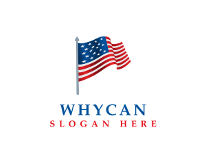 Country - American Flag 3D logo design