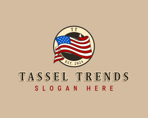 USA American Flag logo design