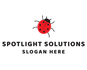 Spots - Little Ladybug Insect logo design