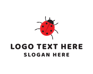 Small - Little Ladybug Insect logo design