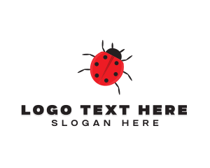 Ladybug - Little Ladybug Insect logo design