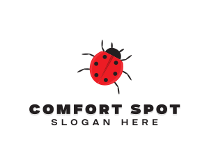 Little Ladybug Insect logo design