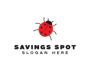 Little Ladybug Insect logo design