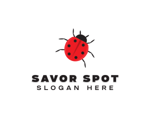 Little Ladybug Insect logo design