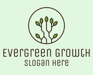 Green Round Eco Plant logo design