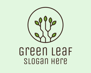 Green Round Eco Plant logo design