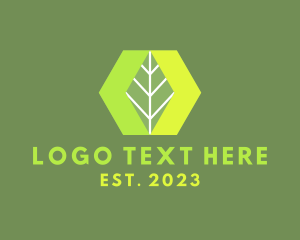 Leaf - Hexagon Nature Leaf logo design