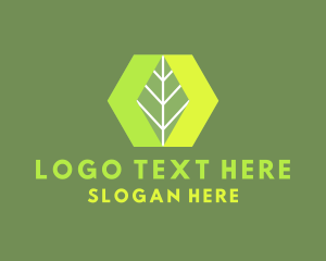 Hexagon Nature Leaf Logo