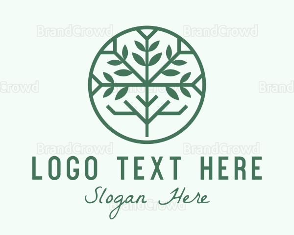 Green Mangrove Forest Logo