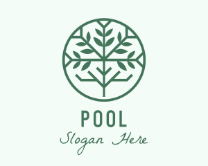 Green Mangrove Forest Logo