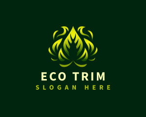 Eco Leaf Botanical logo design