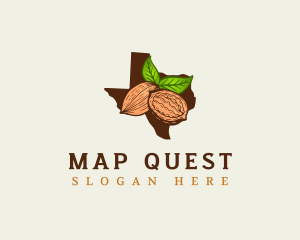 Texas Pecan Nuts logo design