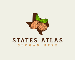 Texas Pecan Nuts logo design