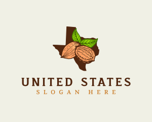 Texas Pecan Nuts logo design