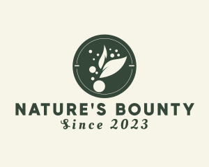 Natural Healthy Kombucha logo design