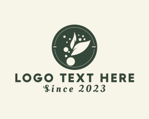 Leaf - Natural Healthy Kombucha logo design