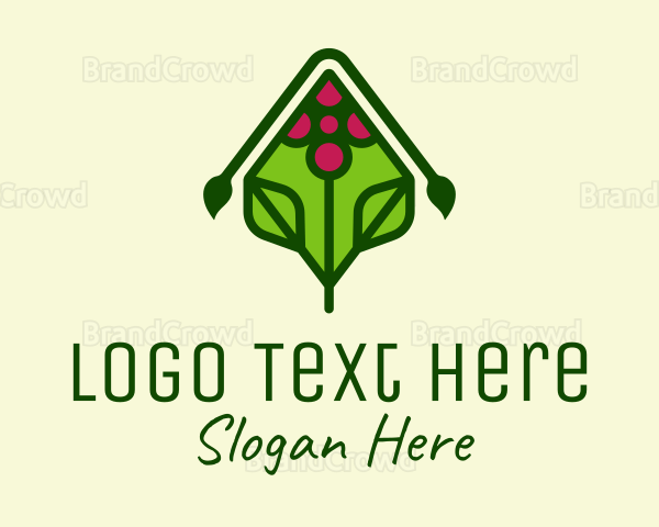 Organic Grape Vineyard Logo