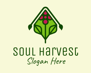 Organic Grape Vineyard logo design