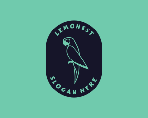 Feathers - Parrot Aviary Badge logo design