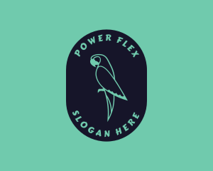 Parrot Aviary Badge logo design