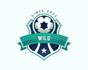 Trainer - Football Team Soccer logo design