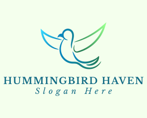 Swallow Bird Aviary logo design