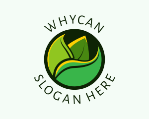 Organic Herbal Leaf  Logo