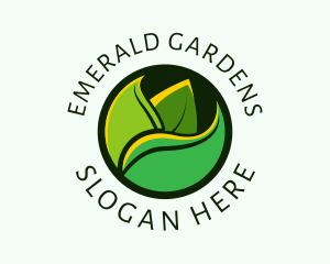 Organic Herbal Leaf  logo design