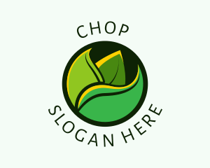 Eco Friendly - Organic Herbal Leaf logo design