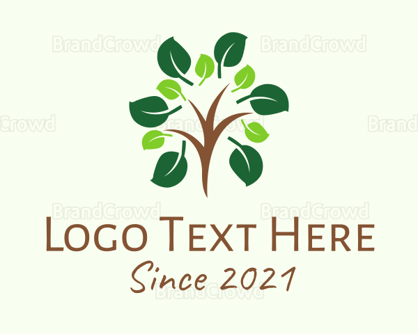 Eco Park Tree Logo