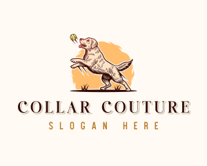 Dog collar business names 2025