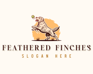 Kennel Dog Training logo design