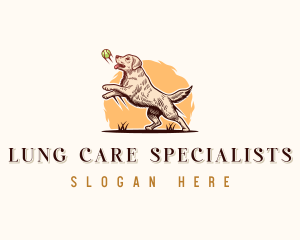 Kennel Dog Training logo design