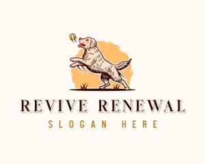 Kennel Dog Training logo design