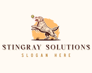 Kennel Dog Training logo design