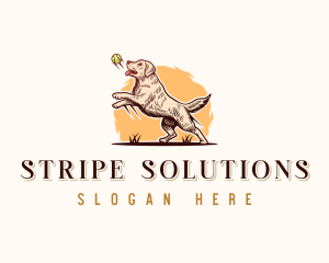 Kennel Dog Training logo design