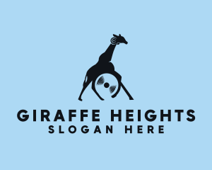 Africa Giraffe CD  logo design