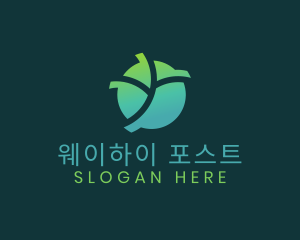 Natural Eco Leaf logo design