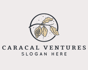 Peanut Plant Farm logo design