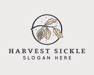 Peanut Plant Farm logo design