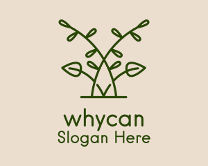 Minimalist Herbal Leaf Logo