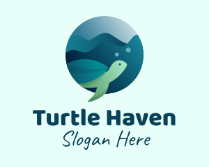 Sea Turtle Conservation logo design