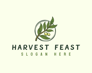 Organic Olive Leaf logo design