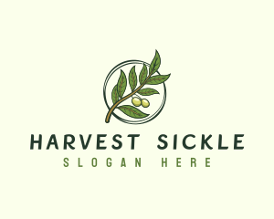 Organic Olive Leaf logo design