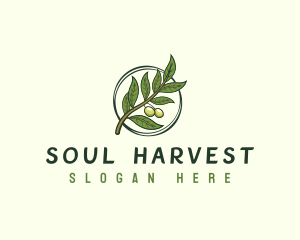 Organic Olive Leaf logo design