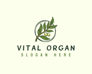 Organic Olive Leaf logo design