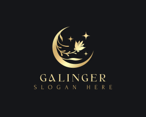 Elegant Moon Flower Logo