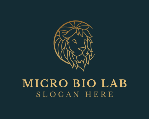 Golden Lion Animal logo design